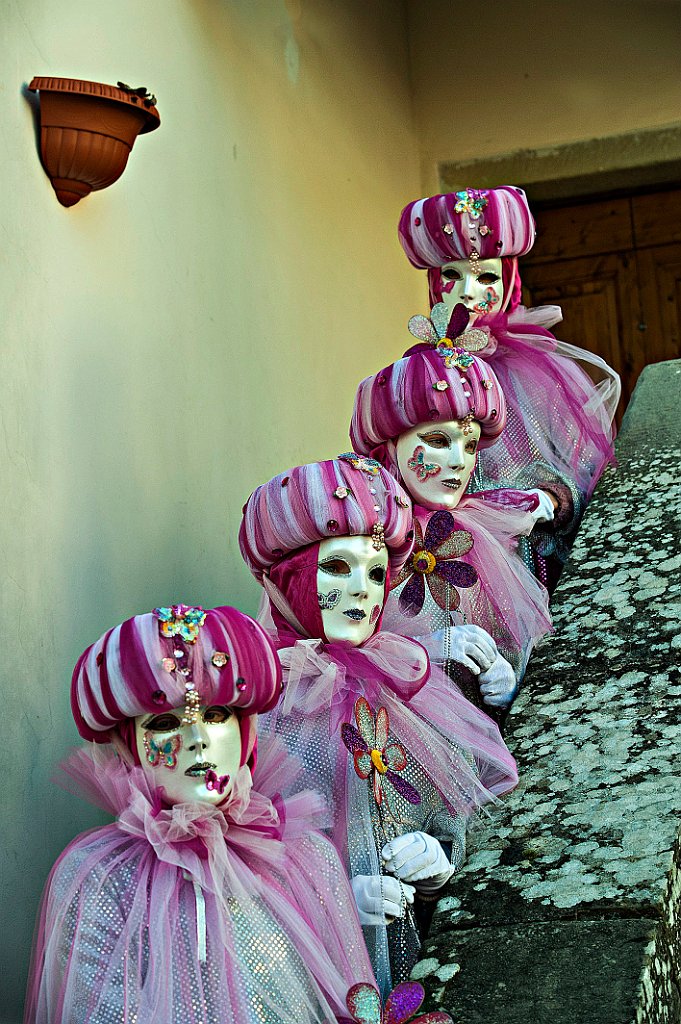 Castiglion Fibocchi Gennaio 2016 (87).JPG